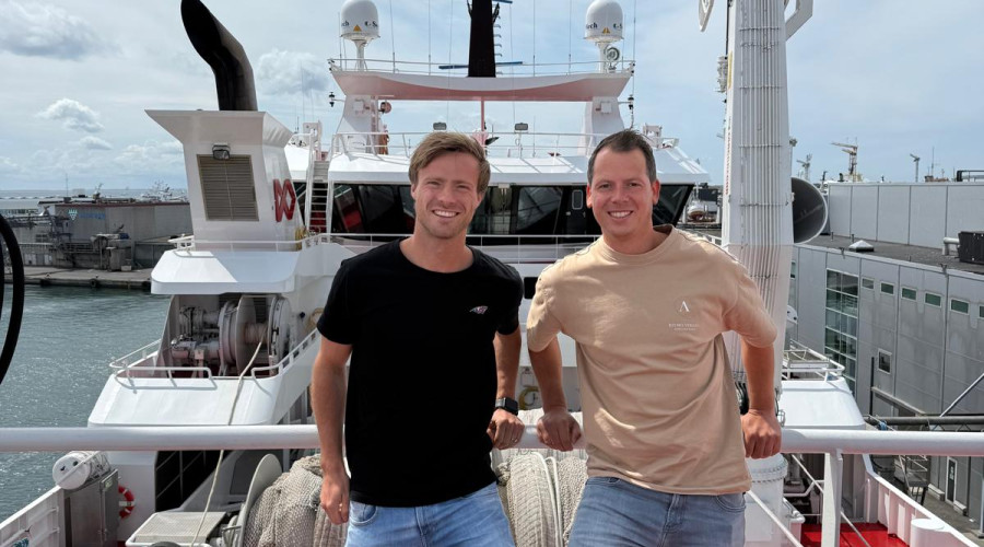 Hollandse nieuwe haring 2025 