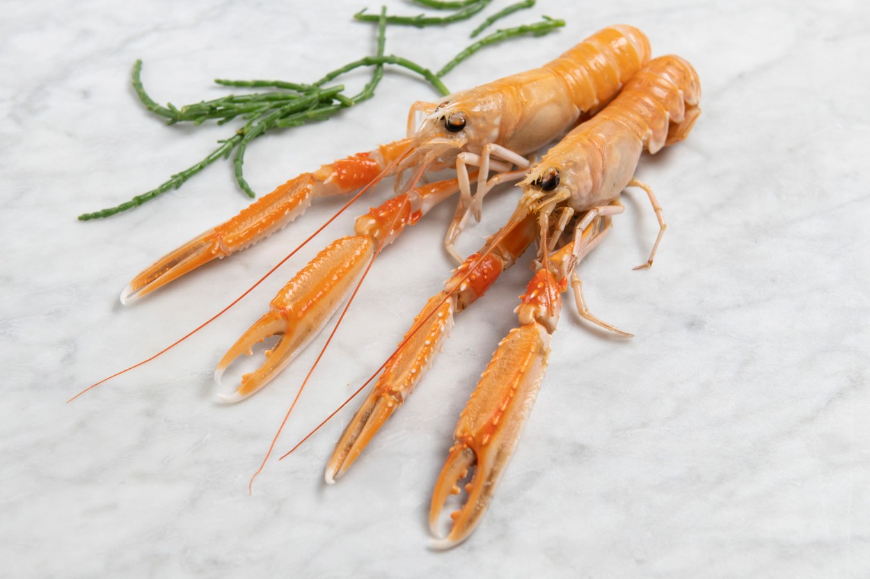 Langoustine