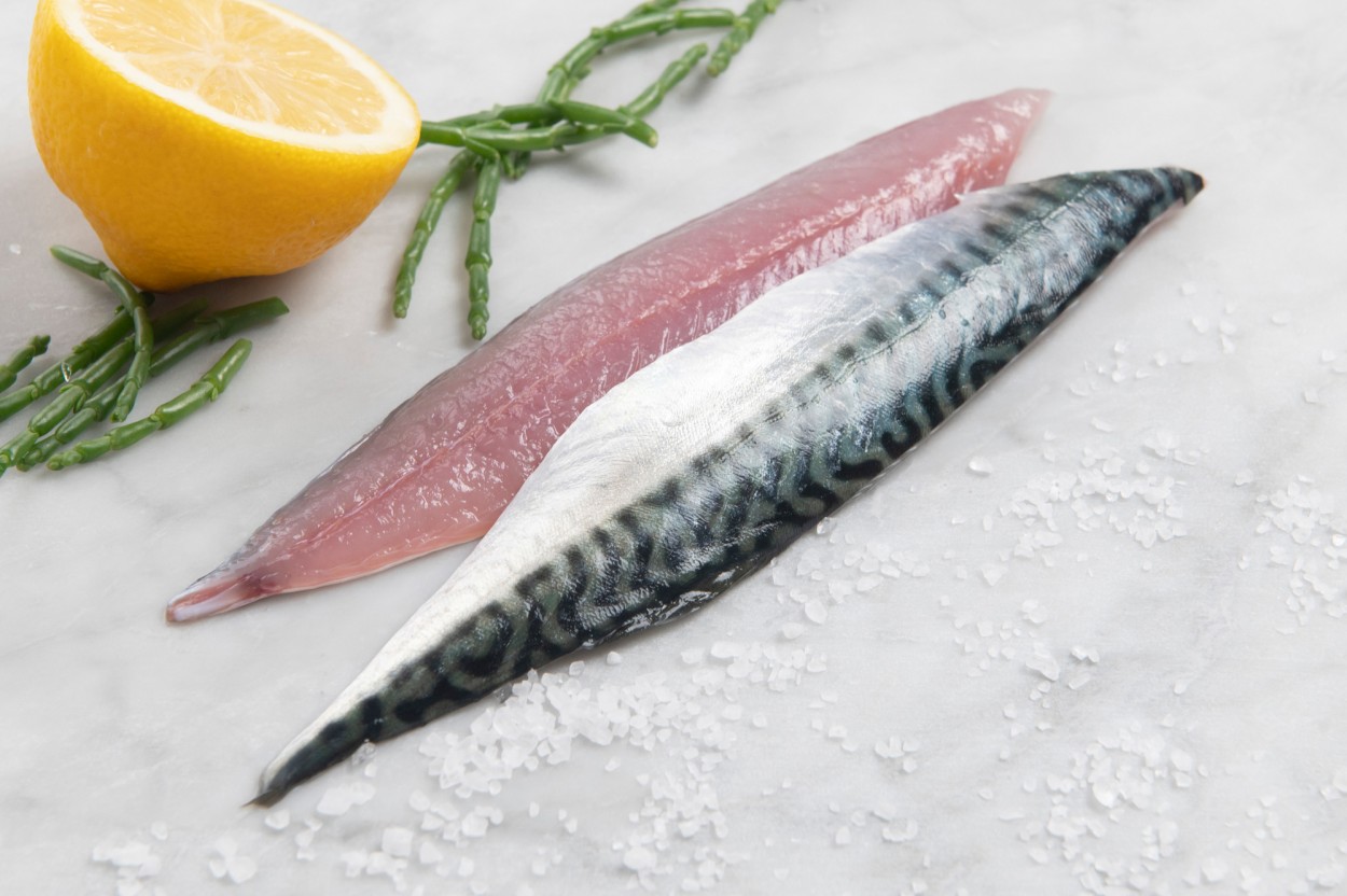 Makreelfilet