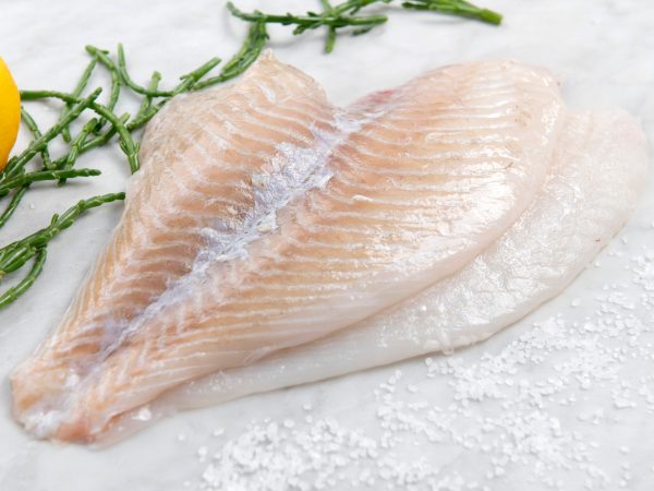 Tarbotfilet
