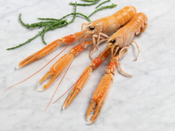 Langoustine