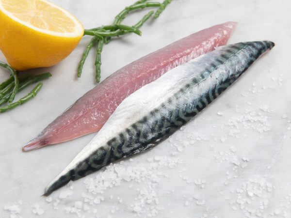 Makreelfilet (ca. 2 x 80 gram)